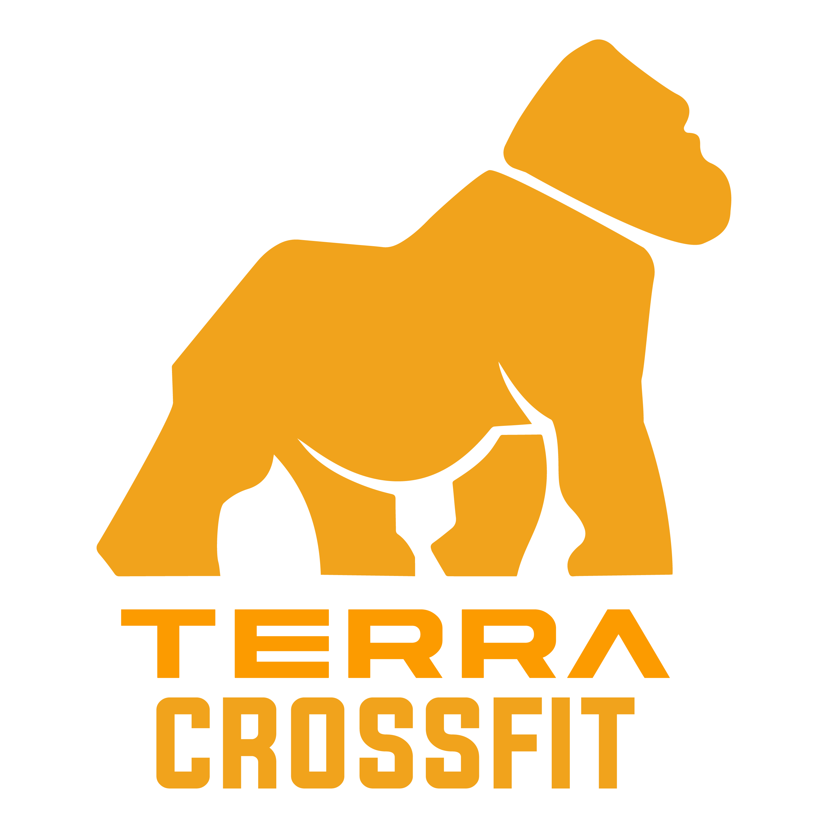 Logo Terra Crossfit orange
